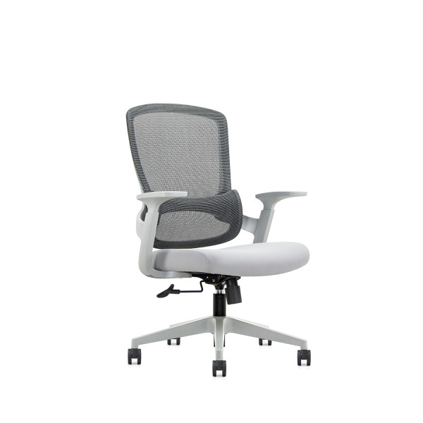 人體工程學行政老闆辦公椅AS-6246B